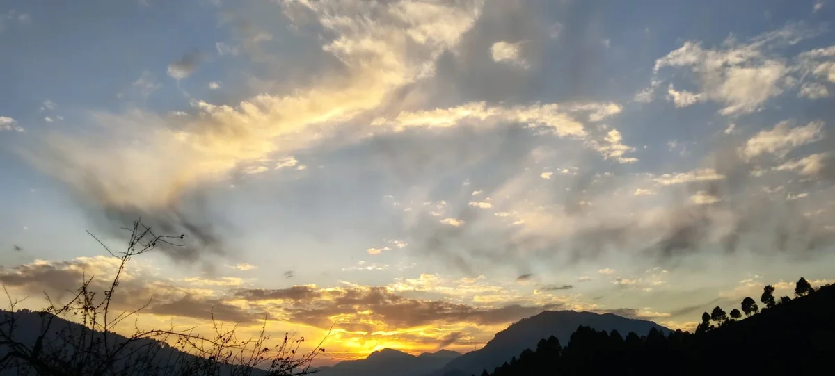 Residential property exterior with natural setting