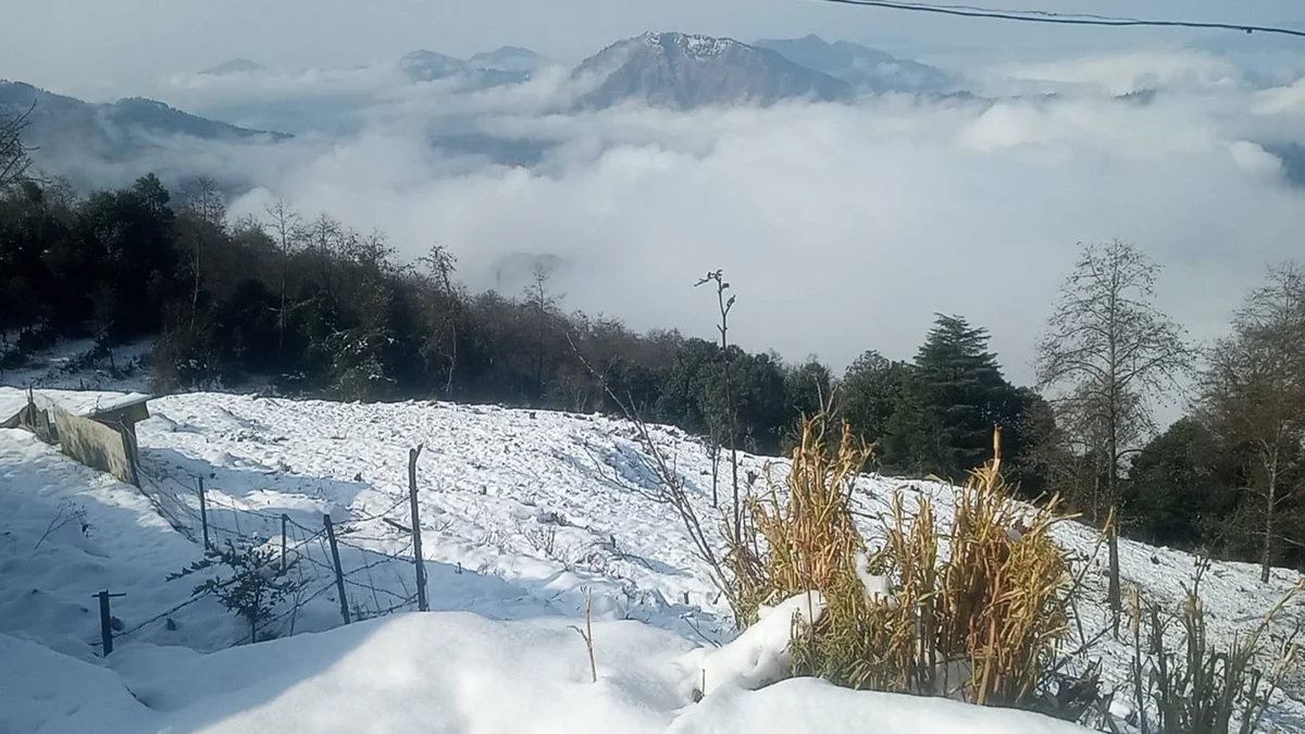 Premium property facade in hillside locale