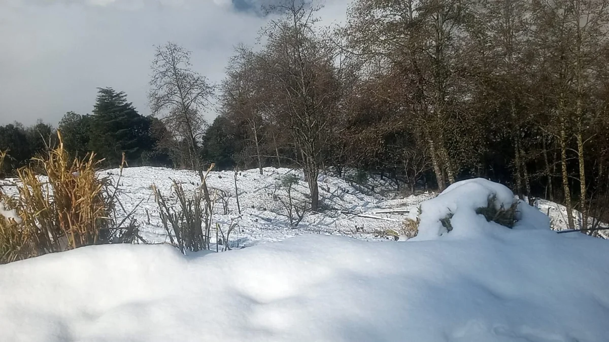 Modern property exterior with surrounding greens